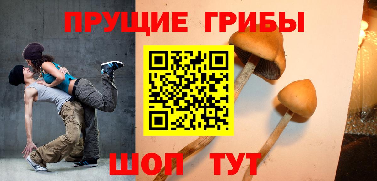 что такое наркотик  Вход с VPN  Псилоцибиновые грибы мицелий  Полевской  Галлюциногенные грибы прущие грибы 